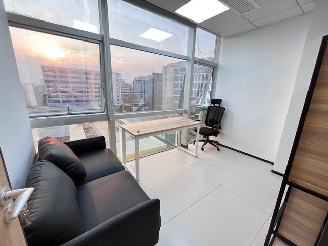 上海大型挖树机